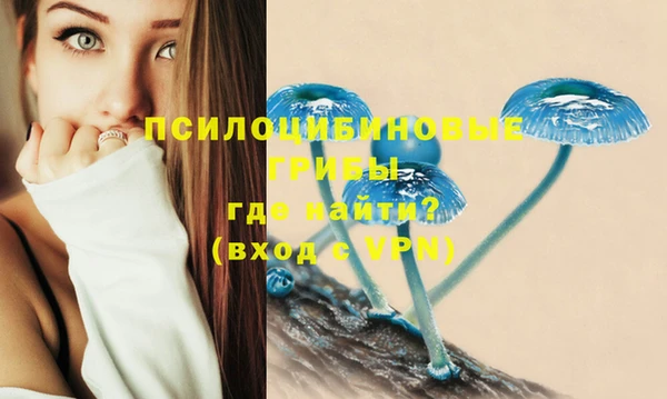 соль ск Краснотурьинск