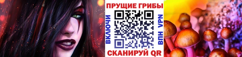 Купить где  Рыбное  Галлюциногенные грибы MAGIC MUSHROOMS 